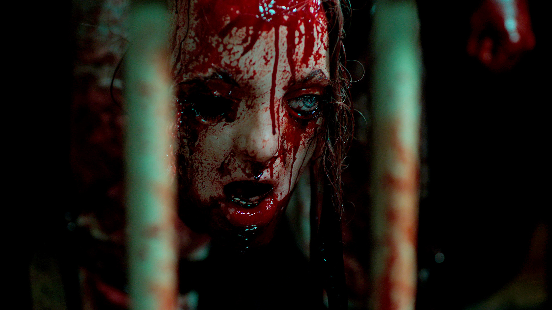 Fresh Meat